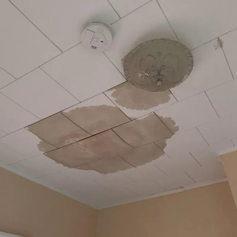 Ceiling Water Damage Repair in Warren County, TN