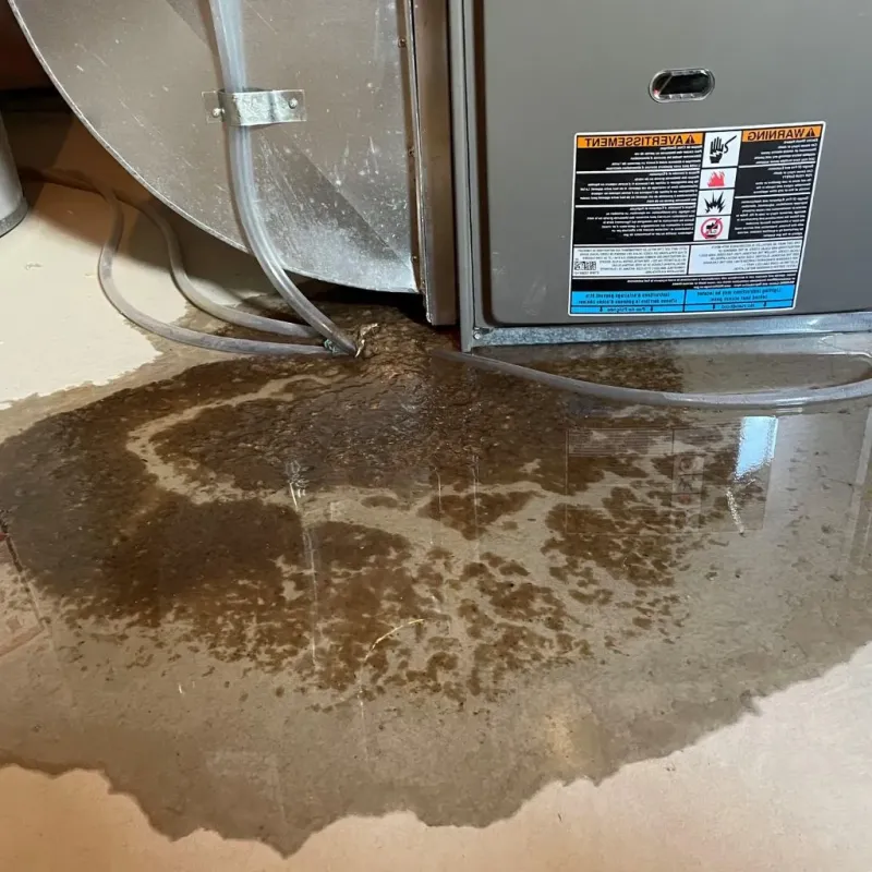 Pipe Burst and Leak Restoration in Warren County, TN