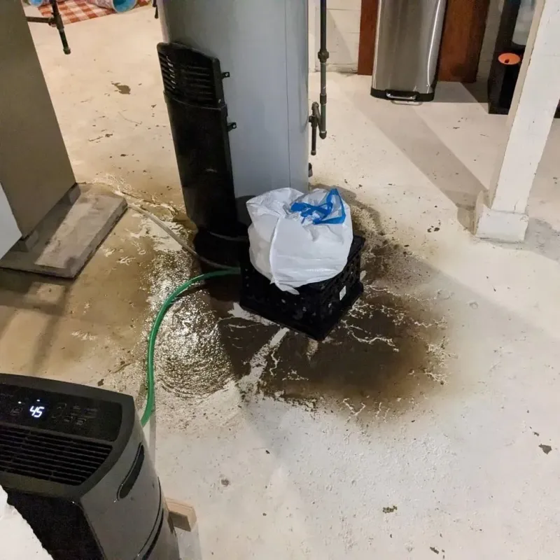 Sewage Backup Cleanup Service in Warren County, TN
